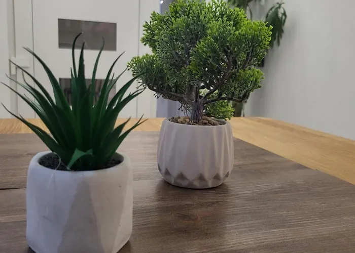 House Of Free Parking 塞拉耶佛