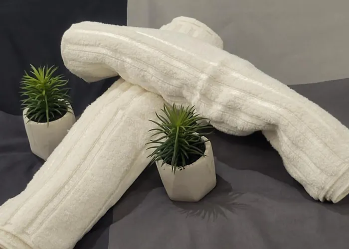 House Of Free Parking 公寓 塞拉耶佛